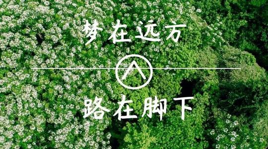 上?？婆d儀器